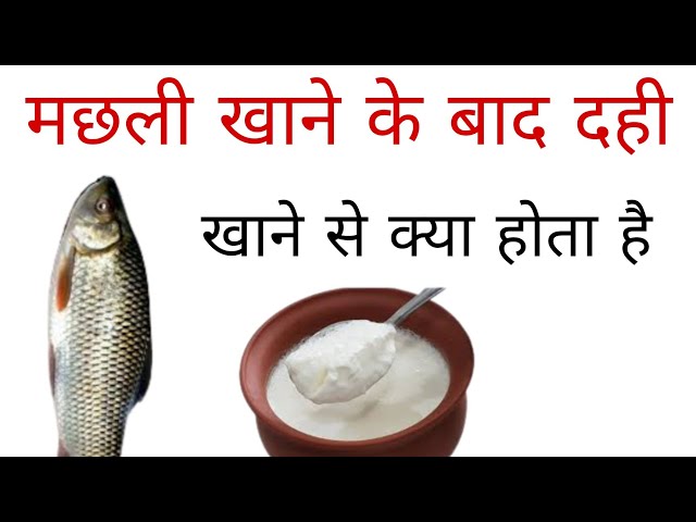 Is it okay for us to consume curd after fish? "क्या मछली खाने के बाद दही का सेवन करना सुरक्षित है?"